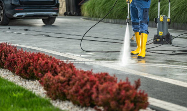 Best Exterior Home Cleaning  in Mshall, AR