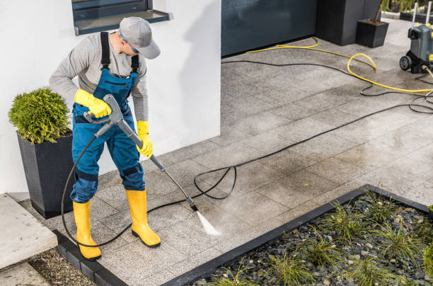 Best House Pressure Washing  in Mshall, AR