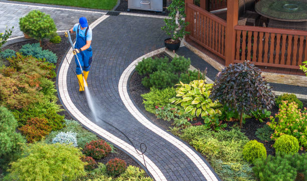 Best Pressure Washing Company Near Me  in Mshall, AR